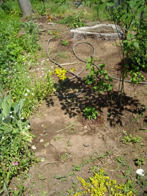 A different view of The Pale.