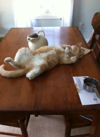 She's not sick, she's just very hot. 