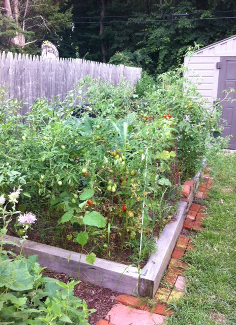 You can't tell, but there's a lot of food in there, including tomatillos.