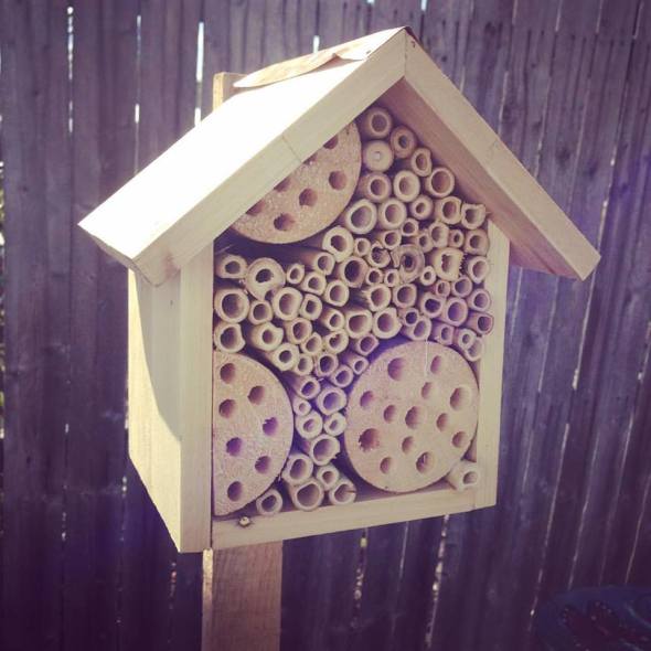bee house