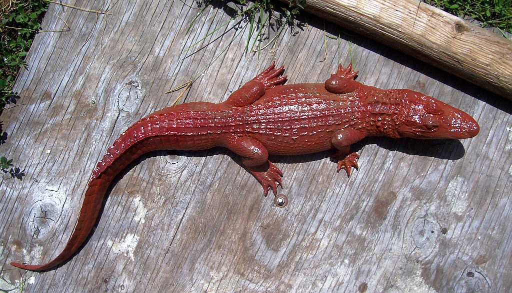 14-2a_alligator_3_4_custom-red-tint40