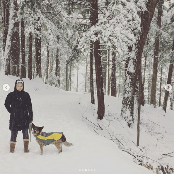 Screen Shot 2018-12-15 at 10.25.48 AM