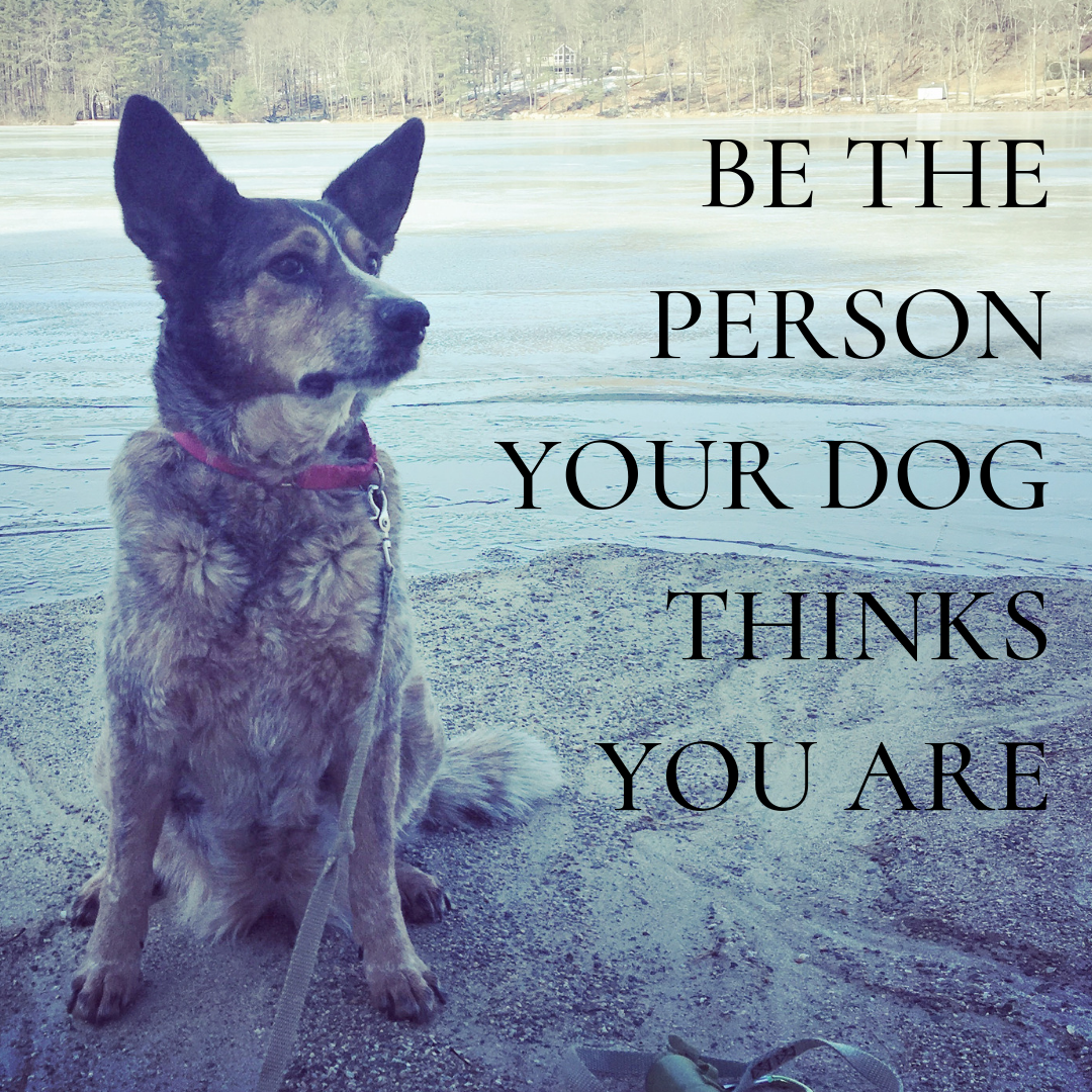 An image of Maybelle with the words "be the eprson your dog thinks you are." 